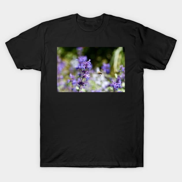 Honig Biene & Ziel im Auge / Swiss Artwork Photography T-Shirt by RaphaelWolf